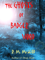 The Ghosts of Badger Wood