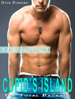 Cupid's Island: The Total Package