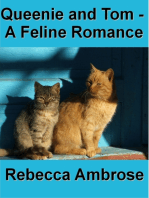 Queenie and Tom, A Feline Romance