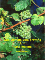 Cool-Climate Vine-growing and Wine-making