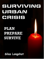 Surviving Urban Crisis