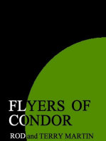 Flyers of Condor
