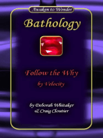 Follow the Why by Velocity Bathology Series