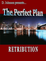 The Perfect Plan: Retribution