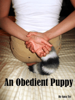 An Obedient Puppy