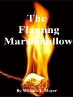 The Flaming Marshmallow