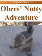 Obee's Nutty Adventure