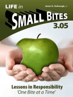 Life in Small Bites: 3.05 Responsibility