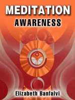 Meditation Awareness