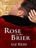 Rose in the Brier