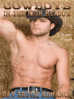 Cowboys in the High Meadow Gay Cowboy Erotica