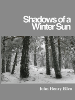 Shadows of a Winter Sun