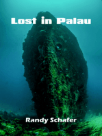 Lost in Palau