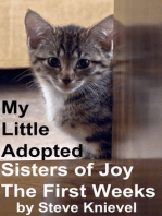 My Little Adopted Sisters of Joy The first Weeks