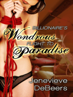 Billionaire's Wondrous Flight to Paradise