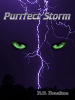 Purrfect Storm
