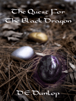 The Quest For the Black Dragon