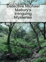 Detective Michael Mallory's Intriguing Mysteries