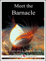 Meet the Barnacle: A 15-Minute Book for Early Readers