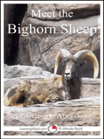 Meet the Bighorn Sheep: A 15-Minute Book for Early Readers