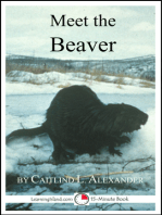 Meet the Beaver: A 15-Minute Book for Early Readers