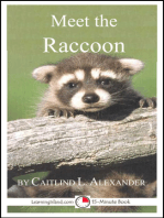 Meet the Raccoon: A 15-Minute Book for Early Readers