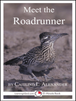 Meet the Roadrunner: A 15-Minute Book for Early Readers