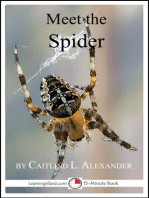Meet the Spider: A 15-Minute Book for Early Readers