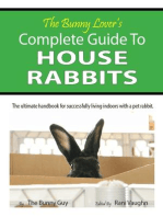 The Bunny Lover's Complete Guide To House Rabbits