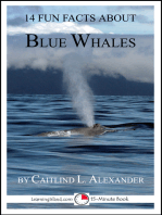 14 Fun Facts About Blue Whales: A 15-Minute Book