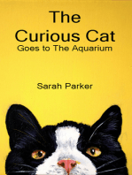 The Curious Cat: Goes to the Aquarium