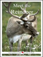 Meet the Reindeer: A 15-Minute Book for Early Readers