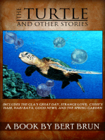 The Turtle and Other Stories by Bert Brun