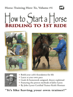 How to Start a Horse