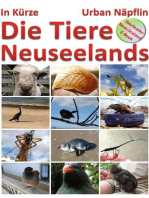 Die Tiere Neuseelands in Kuerze