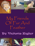 My Friends Of Fur And Feather