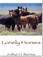 Lonely Horses