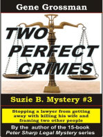 Two Perfect Crimes: Suzi B. Mystery #3