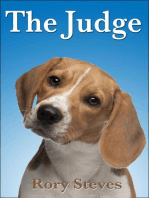 The Judge