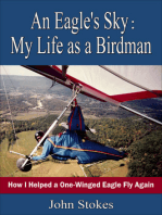 An Eagle's Sky: My Life as a Birdman