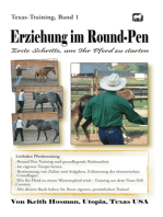 Erziehung im Round-Pen: Erste Schritte, um Ihr Pferd zu starten