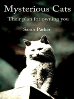 Mysterious Cats: Their plan to own you