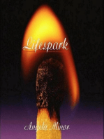 Lifespark