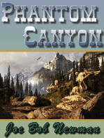 Phantom Canyon