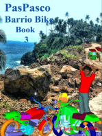 PasPasco Barrio Bike. Book 3