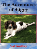The Adventures of Stiggy