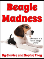 Beagle Madness