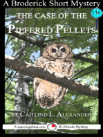 The Case of the Pilfered Pellets: A 15-Minute Brodericks Mystery