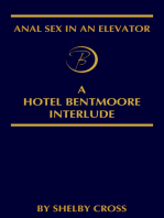 Anal Sex in an Elevator
