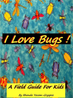 I Love Bugs !